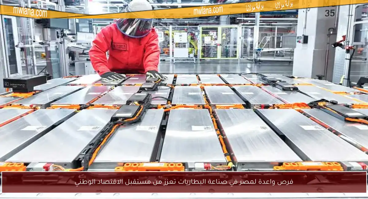 فرص واعدة لمصر في صناعة البطاريات تعزز من مستقبل الاقتصاد الوطني