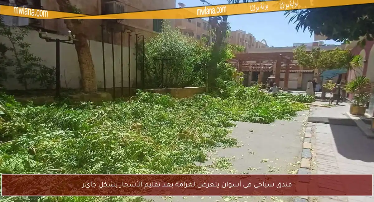 فندق سياحي في أسوان يتعرض لغرامة بعد تقليم الأشجار بشكل جائر