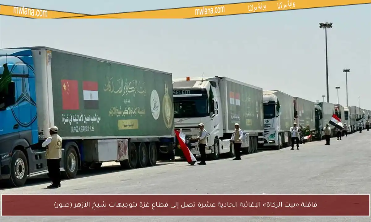 قافلة «بيت الزكاة» الإغاثية الحادية عشرة تصل إلى قطاع غزة بتوجيهات شيخ الأزهر (صور)