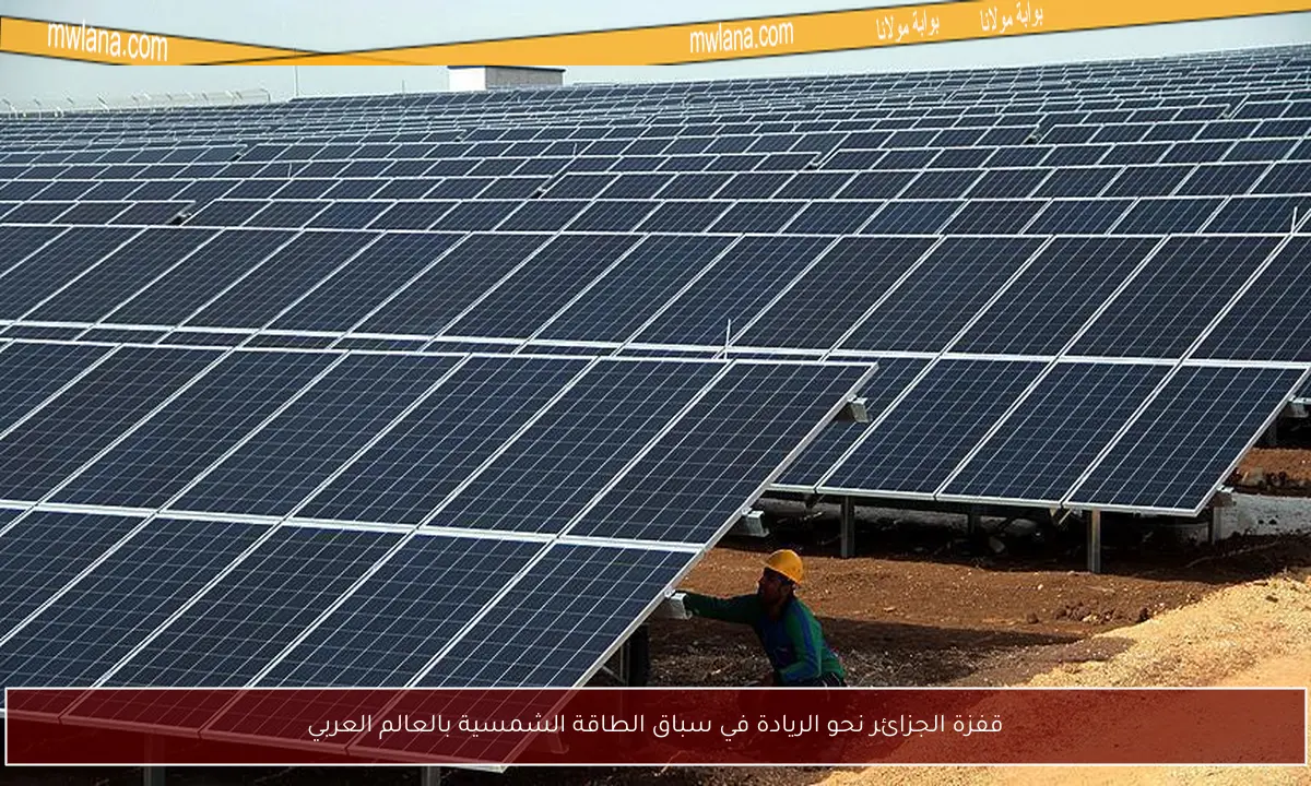 قفزة الجزائر نحو الريادة في سباق الطاقة الشمسية بالعالم العربي