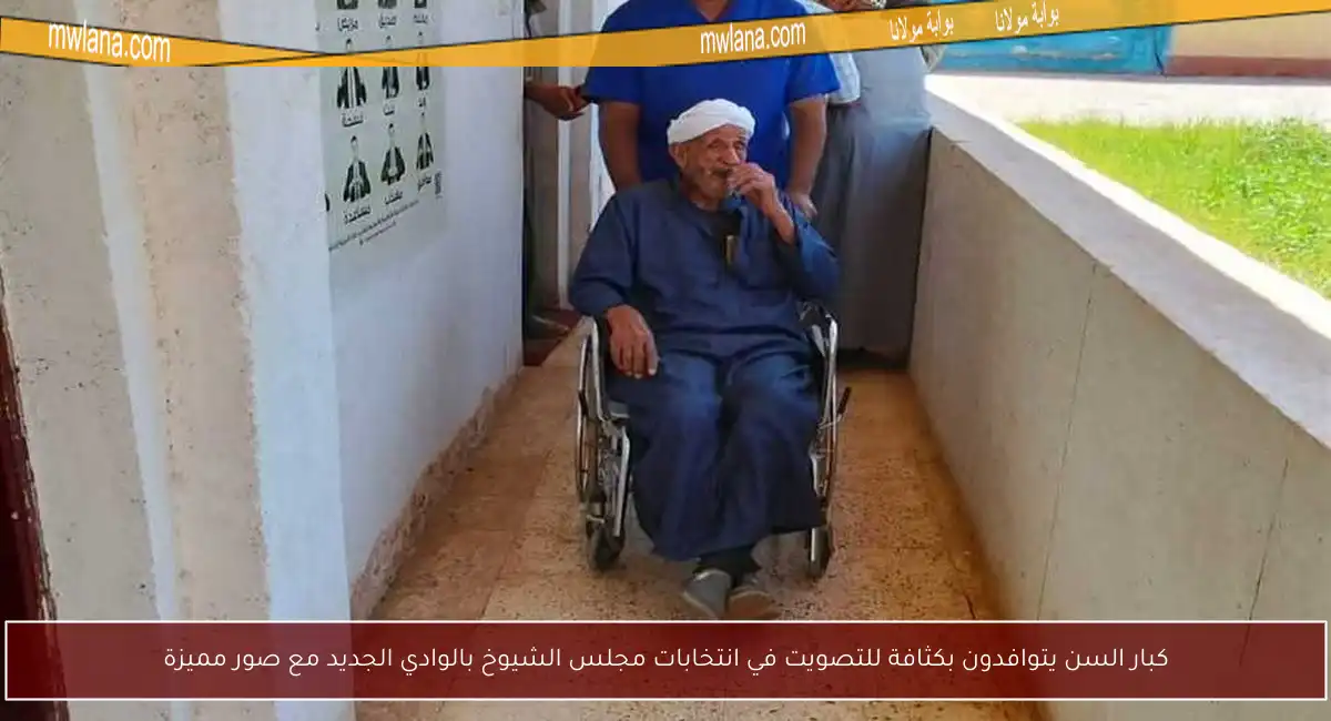 كبار السن يتوافدون بكثافة للتصويت في انتخابات مجلس الشيوخ بالوادي الجديد مع صور مميزة