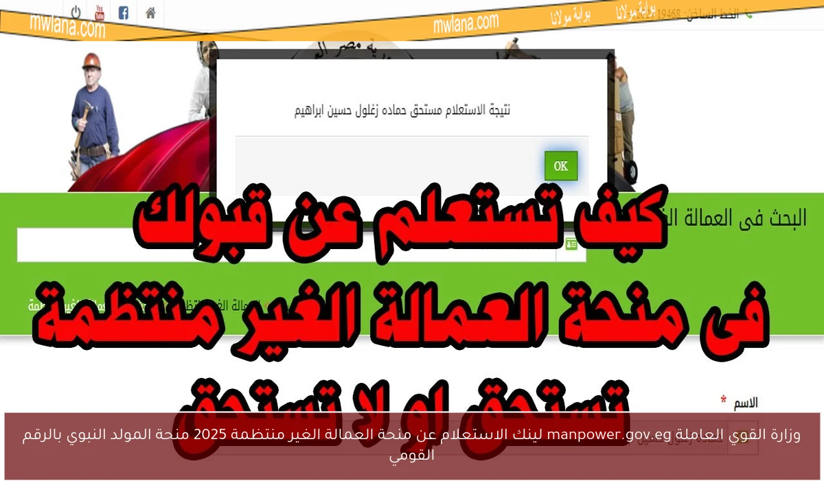 وزارة القوي العاملة manpower.gov.eg لينك الاستعلام عن منحة العمالة الغير منتظمة 2025 منحة المولد النبوي بالرقم القومي