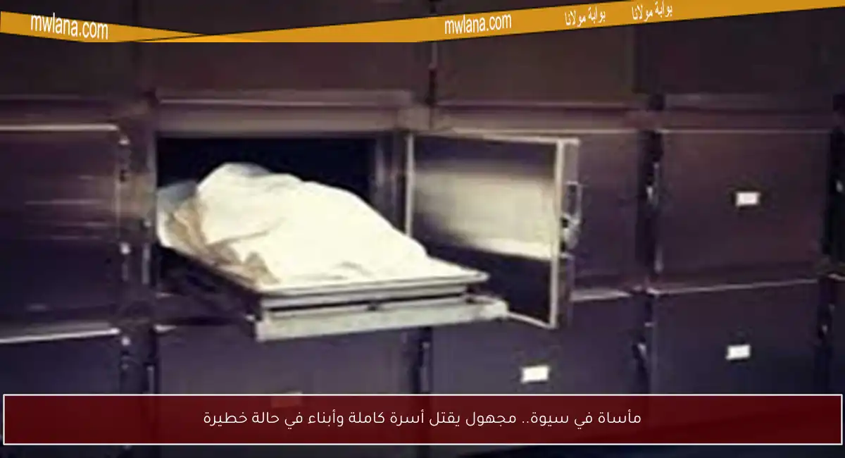 مأساة في سيوة.. مجهول يقتل أسرة كاملة وأبناء في حالة خطيرة