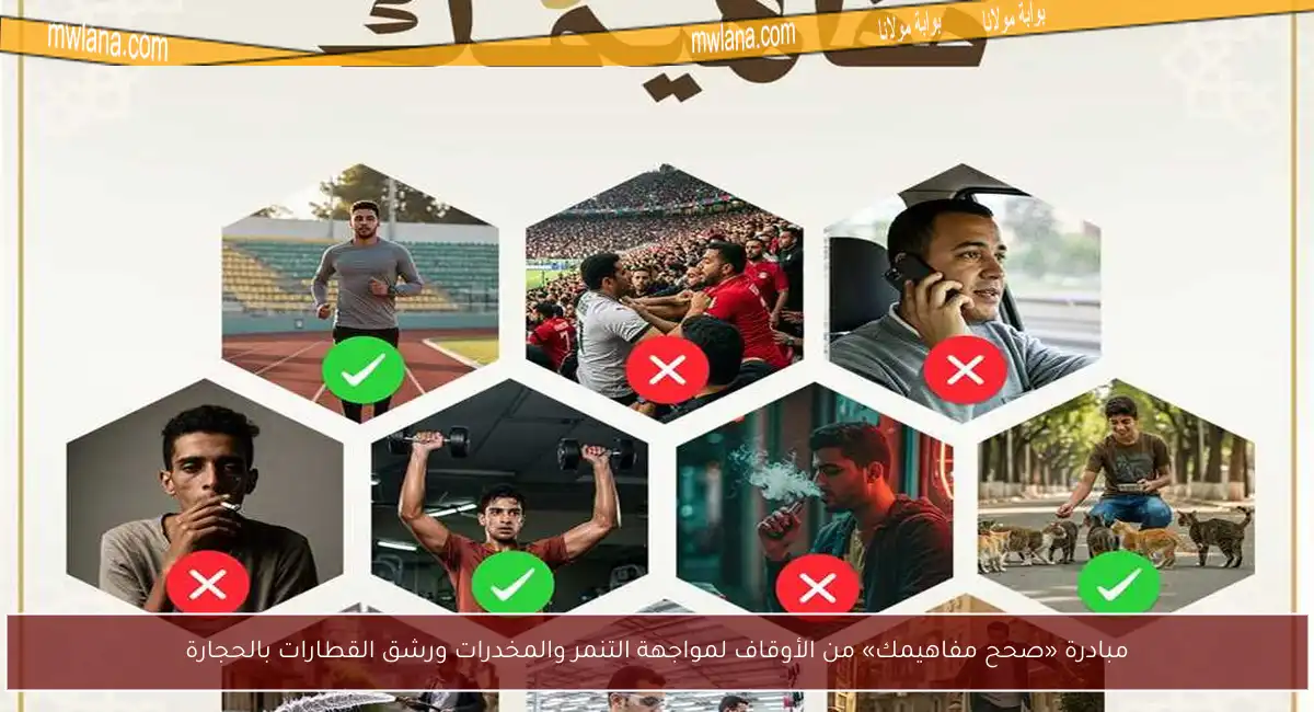 مبادرة «صحح مفاهيمك» من الأوقاف لمواجهة التنمر والمخدرات ورشق القطارات بالحجارة
