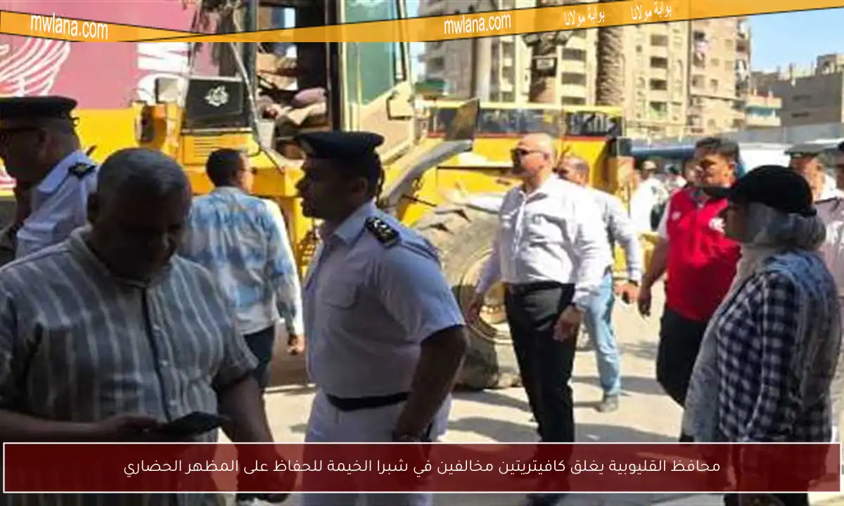 محافظ القليوبية يغلق كافيتريتين مخالفين في شبرا الخيمة للحفاظ على المظهر الحضاري