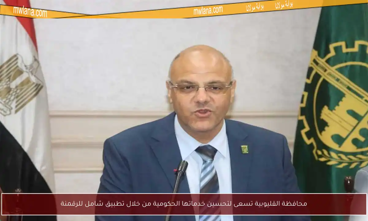 محافظة القليوبية تسعى لتحسين خدماتها الحكومية من خلال تطبيق شامل للرقمنة