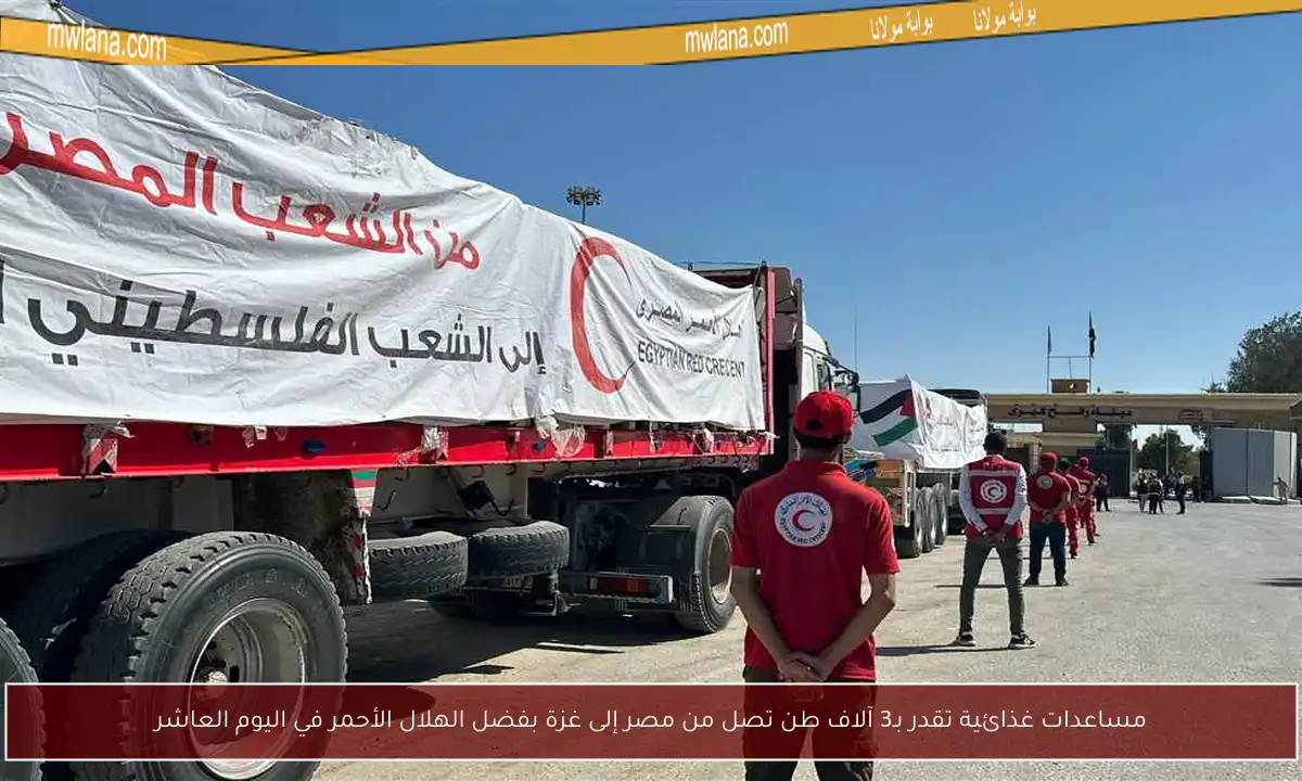 مساعدات غذائية تقدر بـ3 آلاف طن تصل من مصر إلى غزة بفضل الهلال الأحمر في اليوم العاشر
