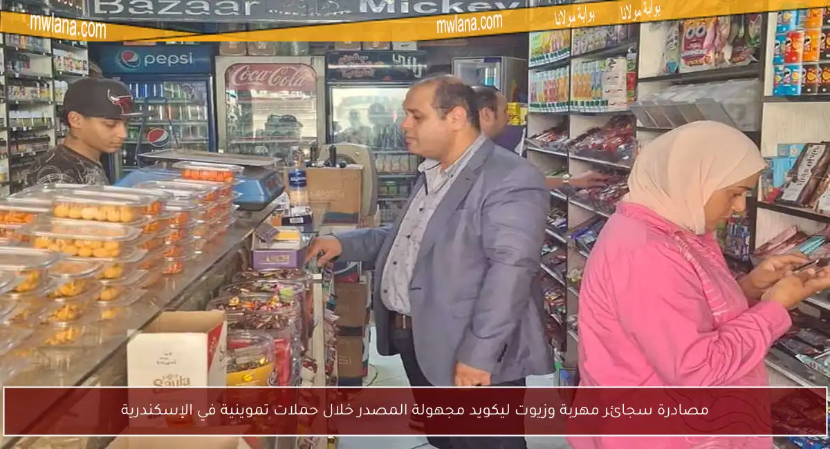 مصادرة سجائر مهربة وزيوت ليكويد مجهولة المصدر خلال حملات تموينية في الإسكندرية