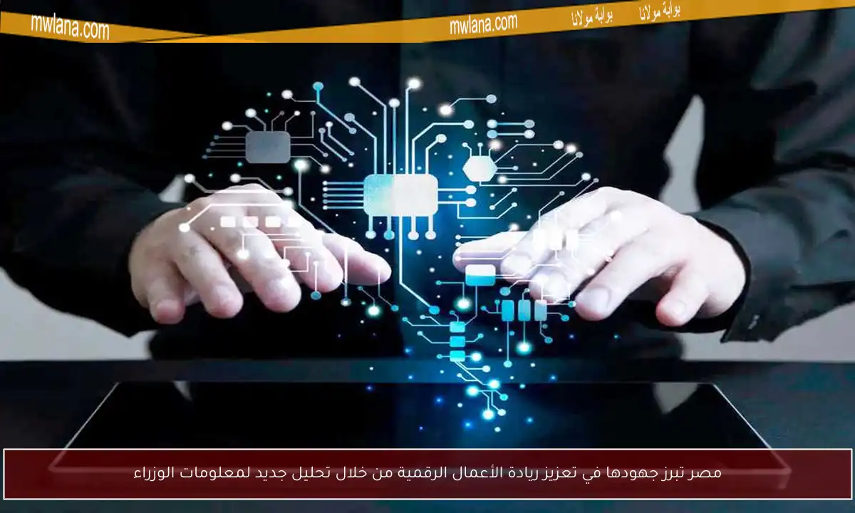 مصر تبرز جهودها في تعزيز ريادة الأعمال الرقمية من خلال تحليل جديد لمعلومات الوزراء