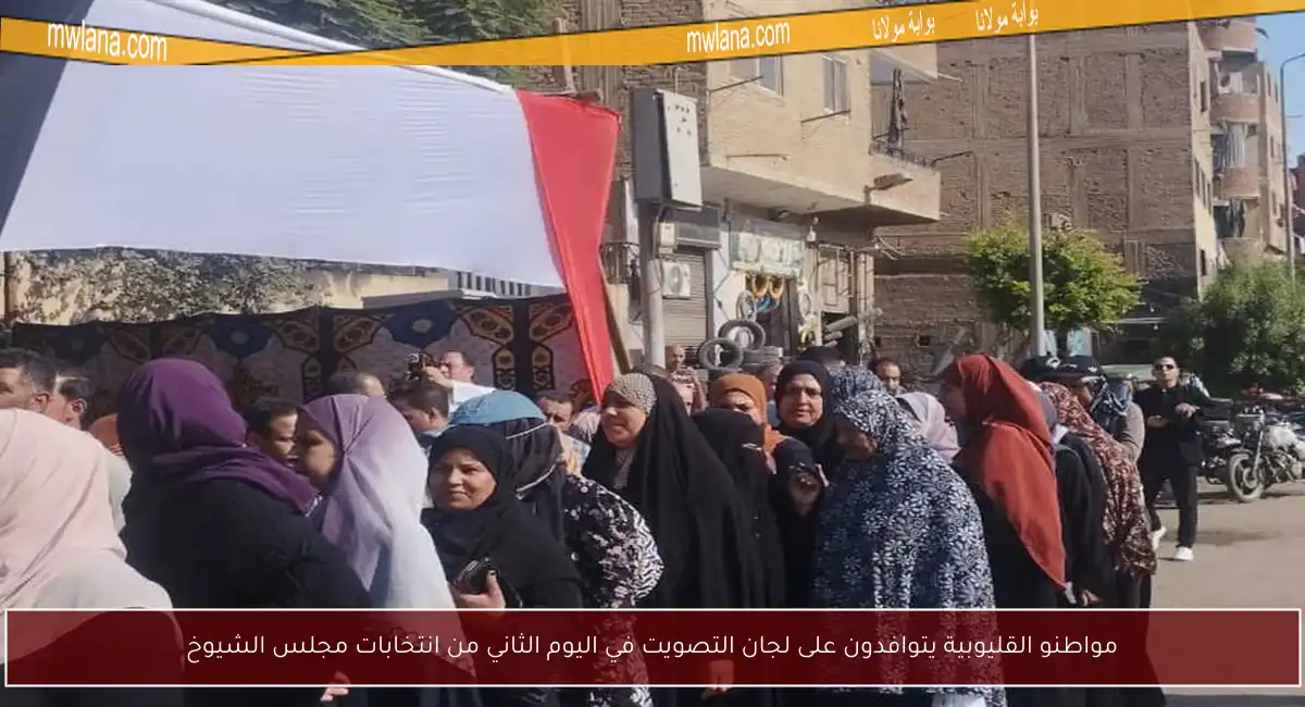 مواطنو القليوبية يتوافدون على لجان التصويت في اليوم الثاني من انتخابات مجلس الشيوخ