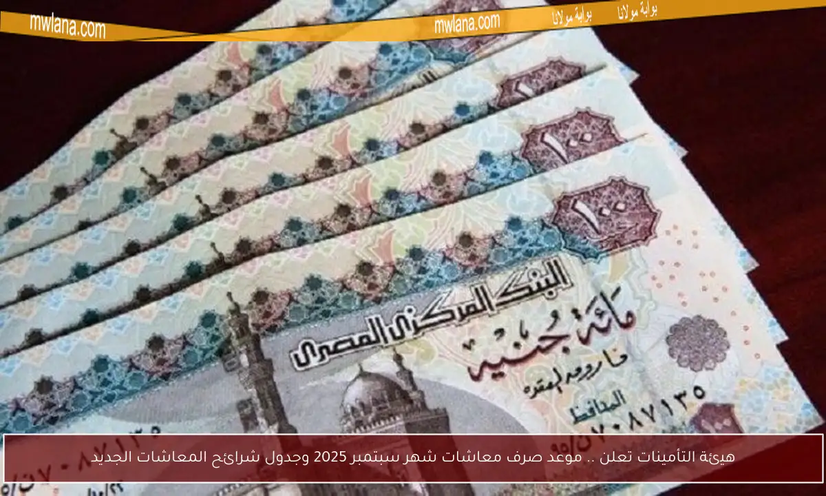 هيئة التأمينات تعلن .. موعد صرف معاشات شهر سبتمبر 2025 وجدول شرائح المعاشات الجديد