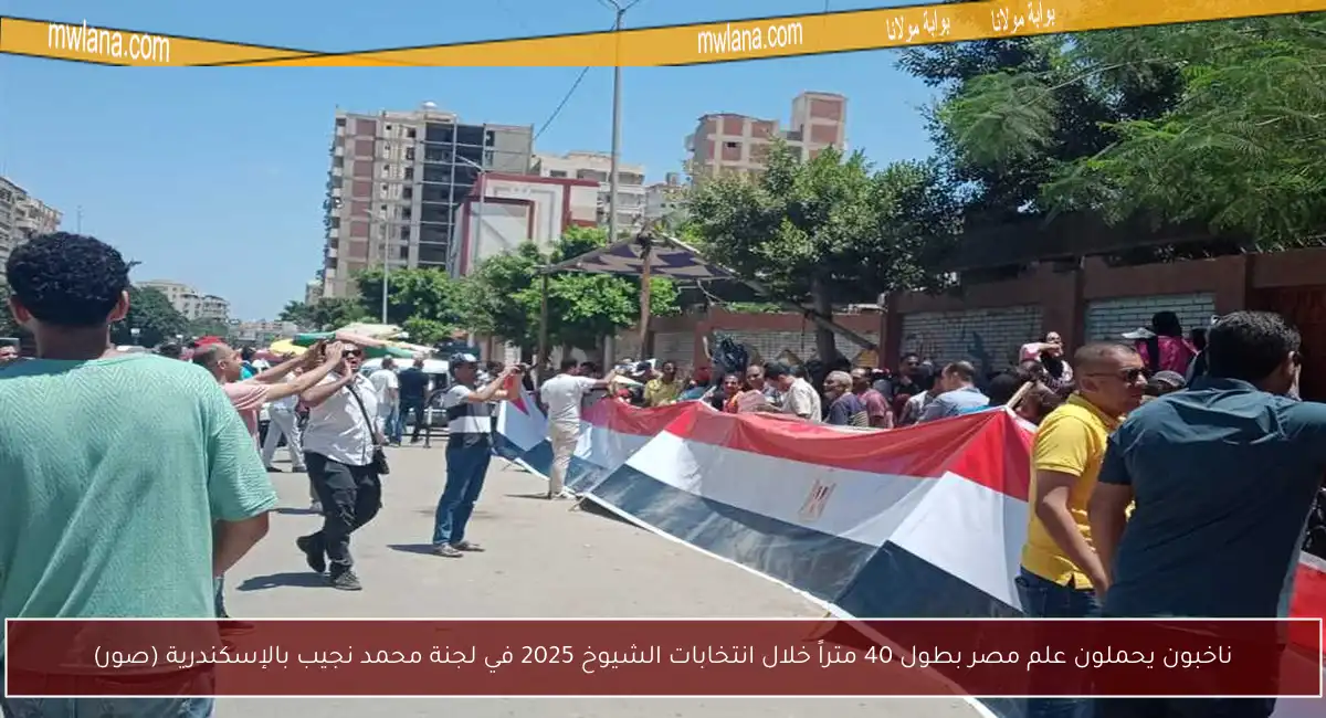 ناخبون يحملون علم مصر بطول 40 متراً خلال انتخابات الشيوخ 2025 في لجنة محمد نجيب بالإسكندرية (صور)