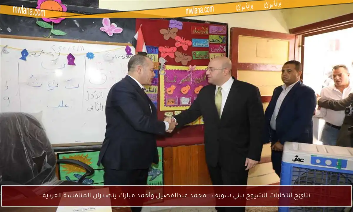 نتائج انتخابات الشيوخ ببني سويف.. محمد عبدالفضيل وأحمد مبارك يتصدران المنافسة الفردية