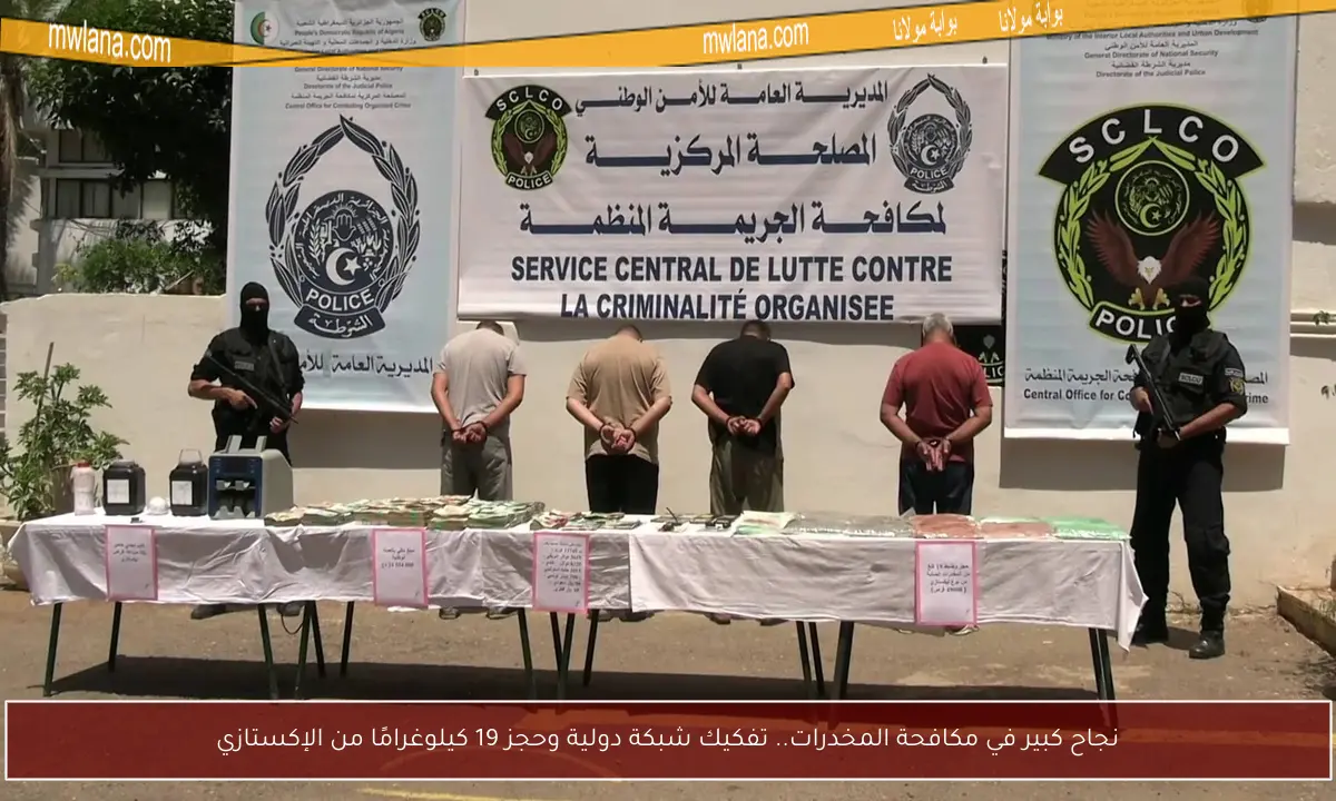 نجاح كبير في مكافحة المخدرات.. تفكيك شبكة دولية وحجز 19 كيلوغرامًا من الإكستازي
