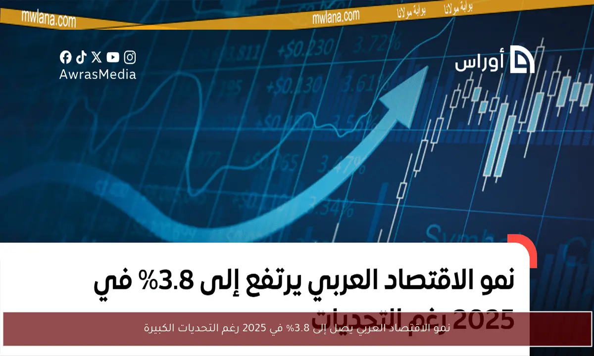 نمو الاقتصاد العربي يصل إلى 3.8% في 2025 رغم التحديات الكبيرة