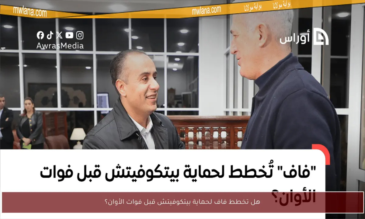 هل تخطط فاف لحماية بيتكوفيتش قبل فوات الأوان؟