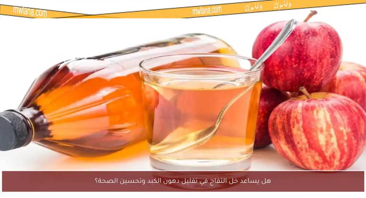 هل يساعد خل التفاح في تقليل دهون الكبد وتحسين الصحة؟