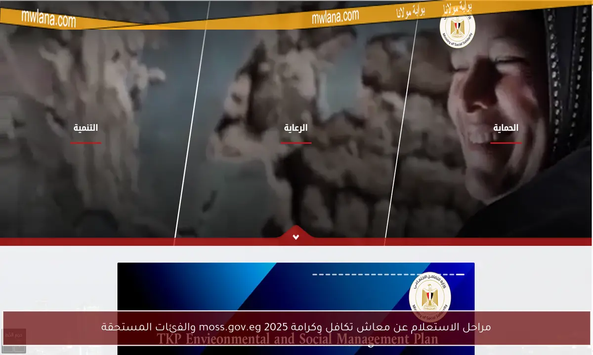 مراحل الاستعلام عن معاش تكافل وكرامة 2025 moss.gov.eg والفئات المستحقة