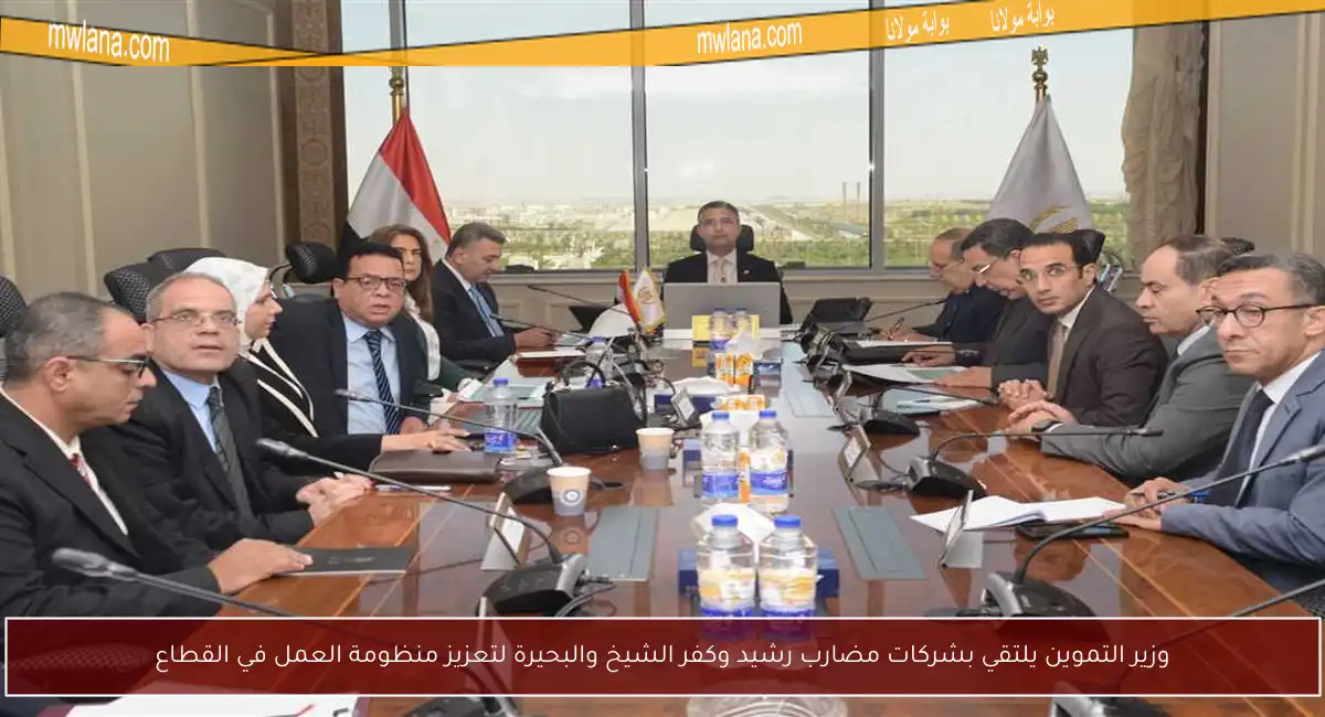 وزير التموين يلتقي بشركات مضارب رشيد وكفر الشيخ والبحيرة لتعزيز منظومة العمل في القطاع