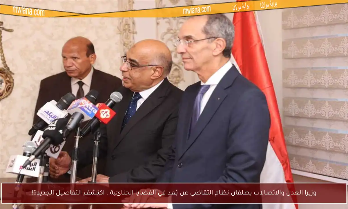 وزيرا العدل والاتصالات يطلقان نظام التقاضي عن بُعد في القضايا الجنائية.. اكتشف التفاصيل الجديدة!