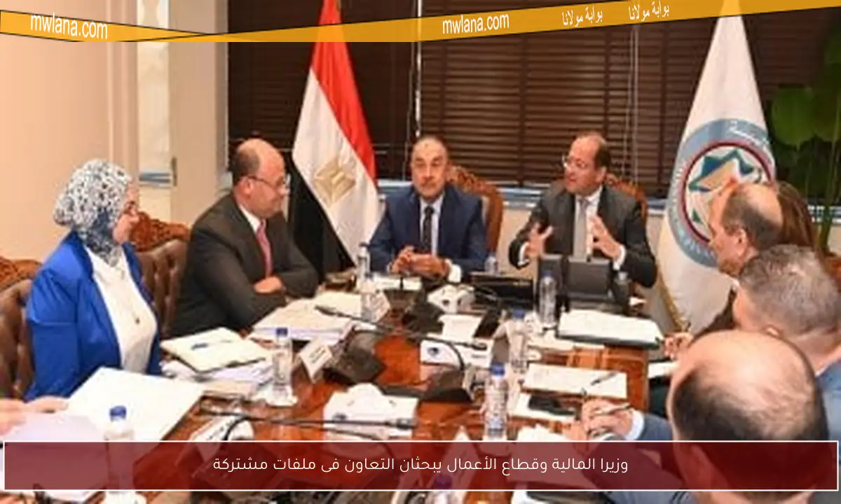 وزيرا المالية وقطاع الأعمال يبحثان التعاون فى ملفات مشتركة