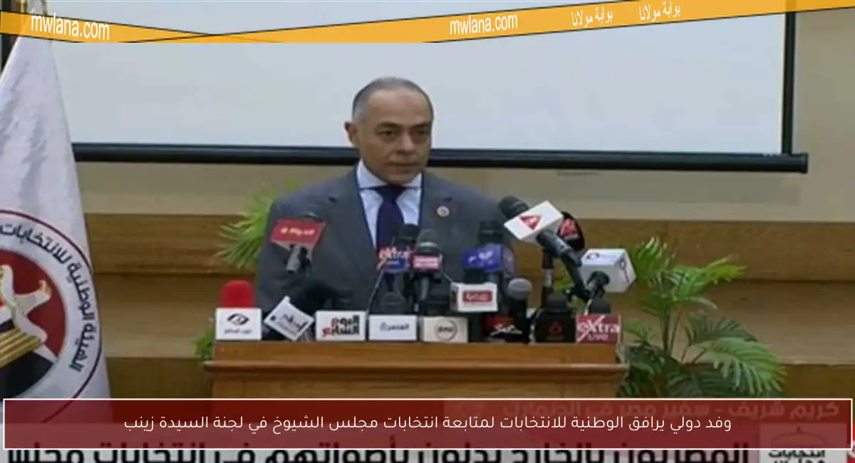 وفد دولي يرافق الوطنية للانتخابات لمتابعة انتخابات مجلس الشيوخ في لجنة السيدة زينب