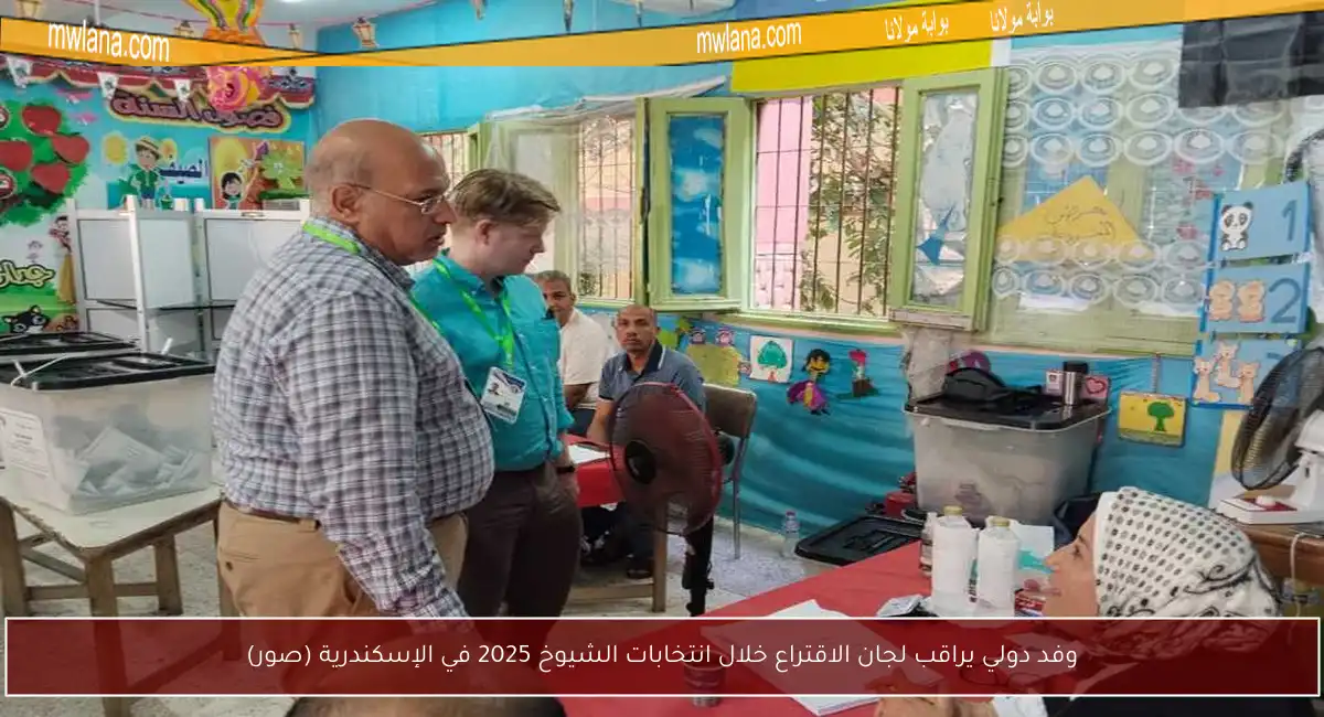 وفد دولي يراقب لجان الاقتراع خلال انتخابات الشيوخ 2025 في الإسكندرية (صور)