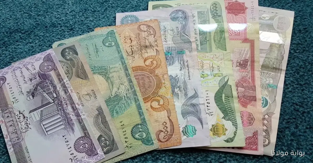 100 دولار مقابل الدينار العراقي شقد؟.. سعر صرف الدولار في العراق اليوم وفق آخر تحديث رسمي وأسعار السوق الموازي