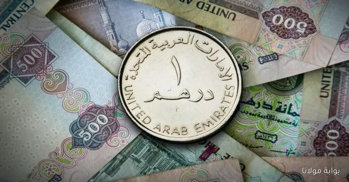 1000 درهم إماراتي كم جنيه مصري اليوم الأربعاء 17 سبتمبر 2025 في السوق السوداء والبنوك