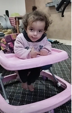 نايا أبو ريدة قبل الحرب