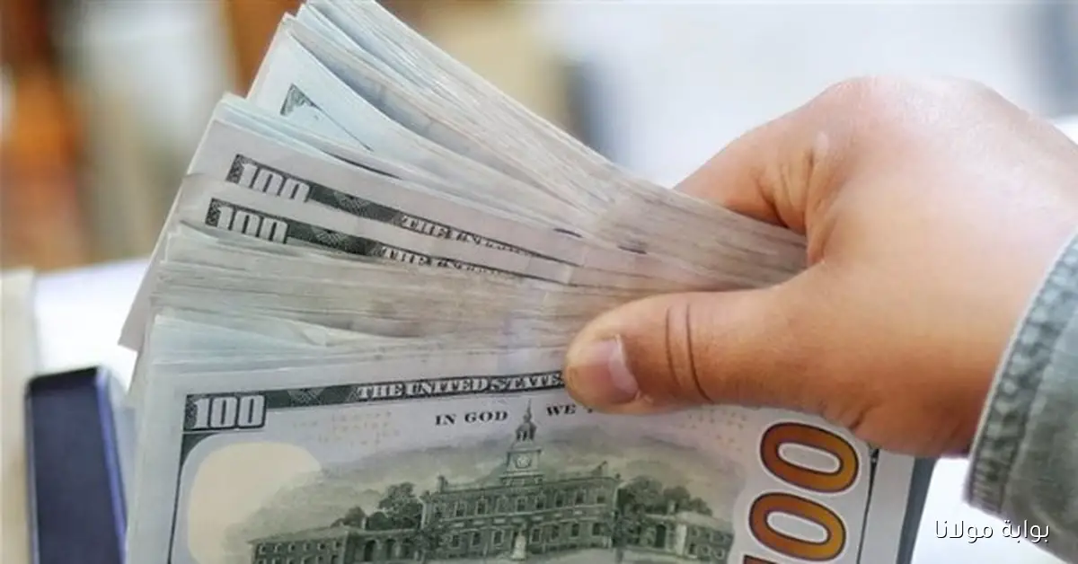 استقرار نسبي في أسعار الدولار بالبنوك المصرية مع بعض التغيرات الطفيفة