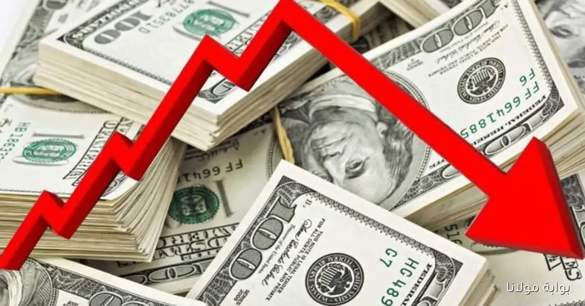 أسعار الدولار اليوم 19 سبتمبر 2025 بأقل الأسعار المتاحة