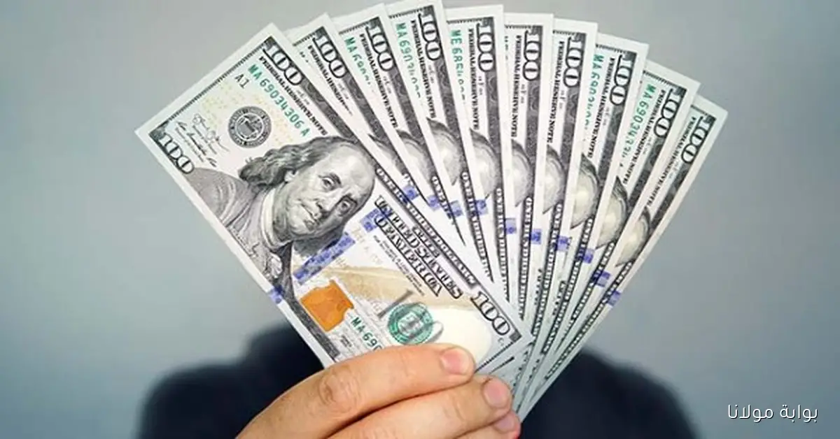 أسعار الدولار اليوم 19 سبتمبر 2025 ترتفع مجددًا
