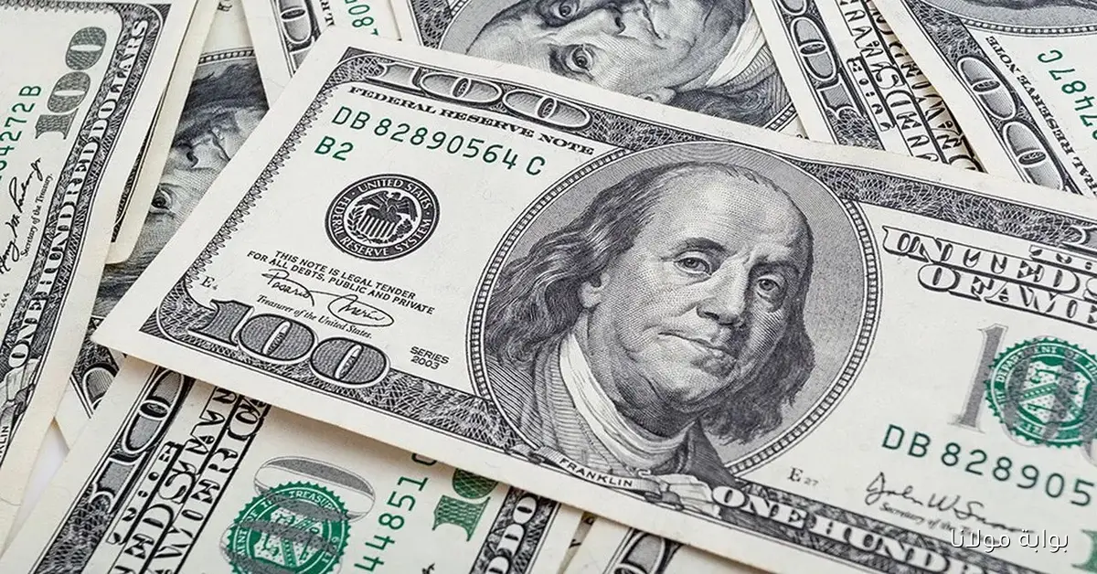 سعر الدولار في البنك المركزي اليوم الجمعة 19 سبتمبر 2025