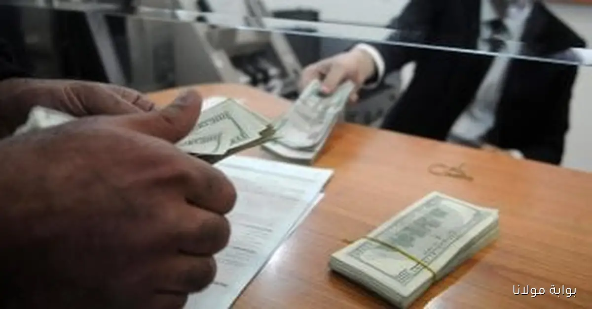 استقرار سعر الدولار اليوم الجمعة في البنوك مقابل الجنيه مع أحدث المستجدات