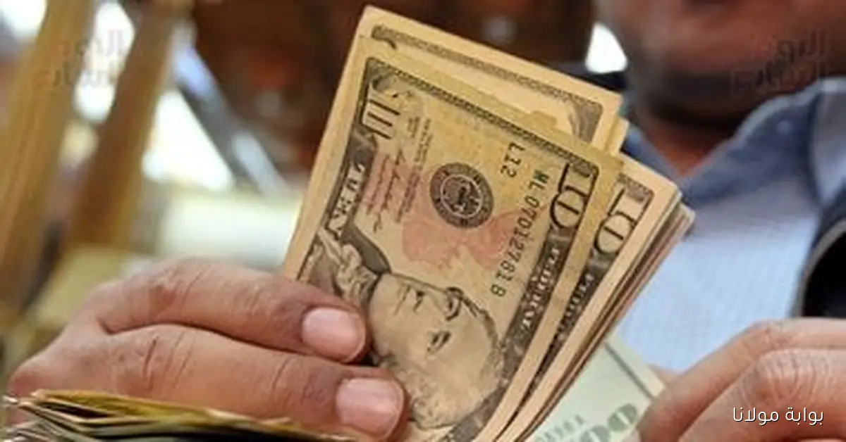 أسعار الدولار اليوم الجمعة 19 سبتمبر 2025 أمام الجنيه تتجدد كل ساعة