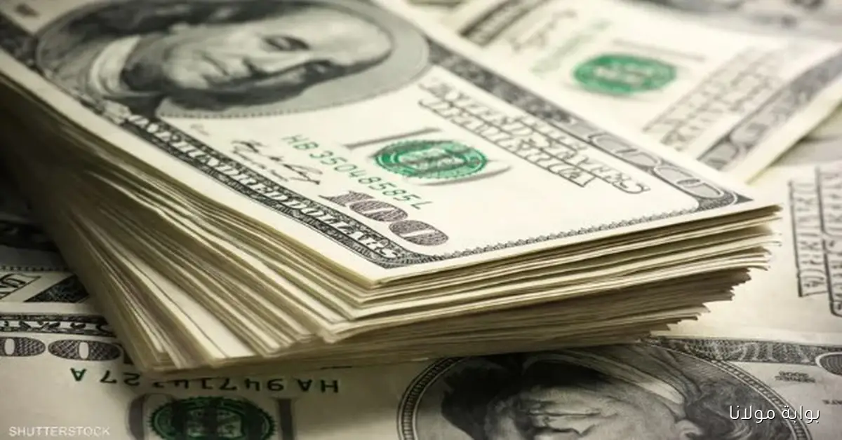 سعر الدولار اليوم 19 سبتمبر 2025 وما الجديد في السوق؟