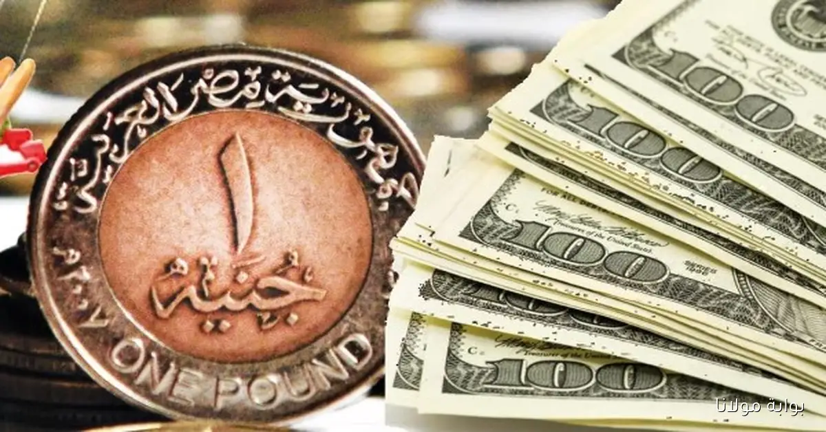 تحديث سعر الدولار مقابل الجنيه في البنوك ليوم السبت 20 سبتمبر 2025