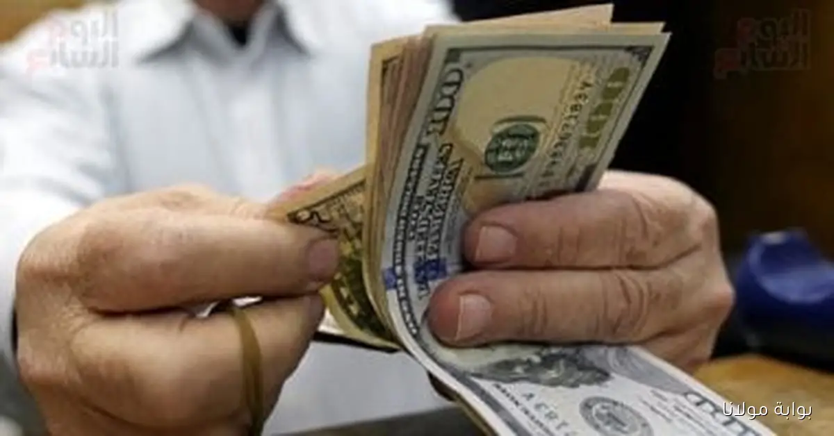سعر الدولار في البنك الأهلي اليوم السبت 20 سبتمبر 2025 يصل إلى 48.14 جنيه للشراء