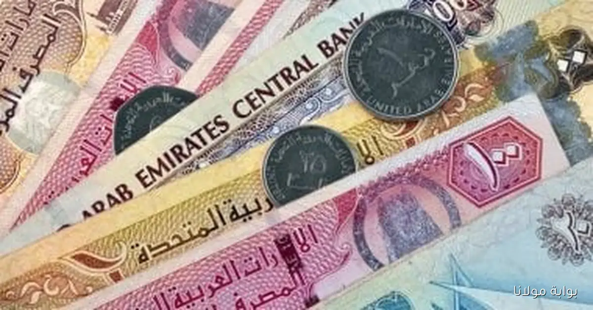 استقرار سعر الدرهم الإماراتي اليوم مع عطلة نهاية الأسبوع 20 سبتمبر 2025