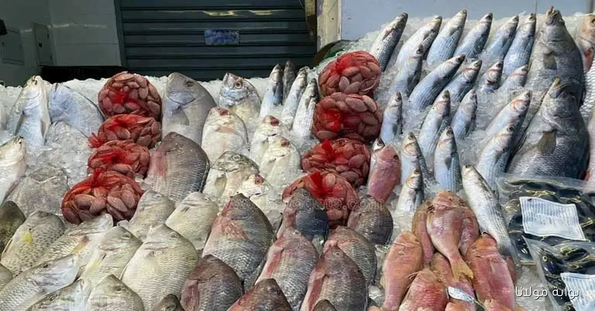 أسعار الأسماك والأكل البحري في سوق العبور اليوم مع زيادة في سعر البلطي