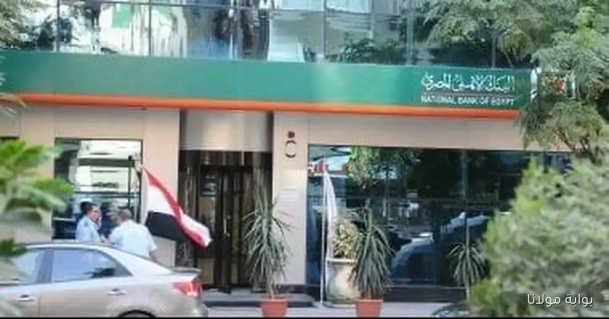 اكتشف أبرز شهادات البنك الأهلي المصري وما تقدمه لك من مزايا وفرص رائعة