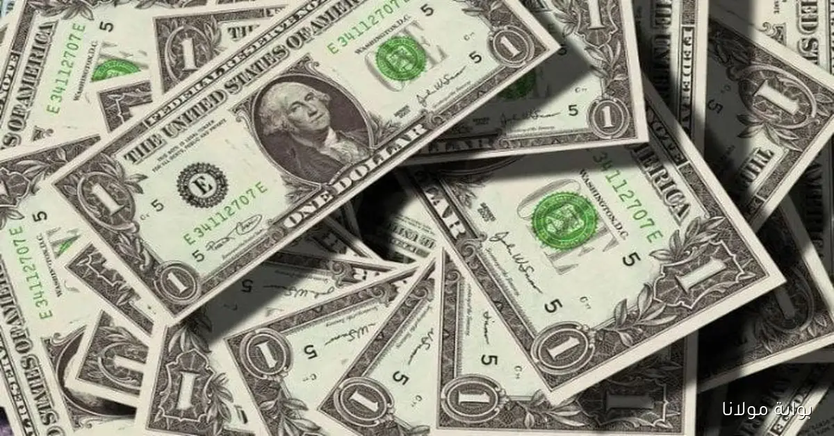 التحديث الأخير لـ سعر الدولار مقابل الجنيه المصري اليوم الثلاثاء 30 سبتمبر في البنوك