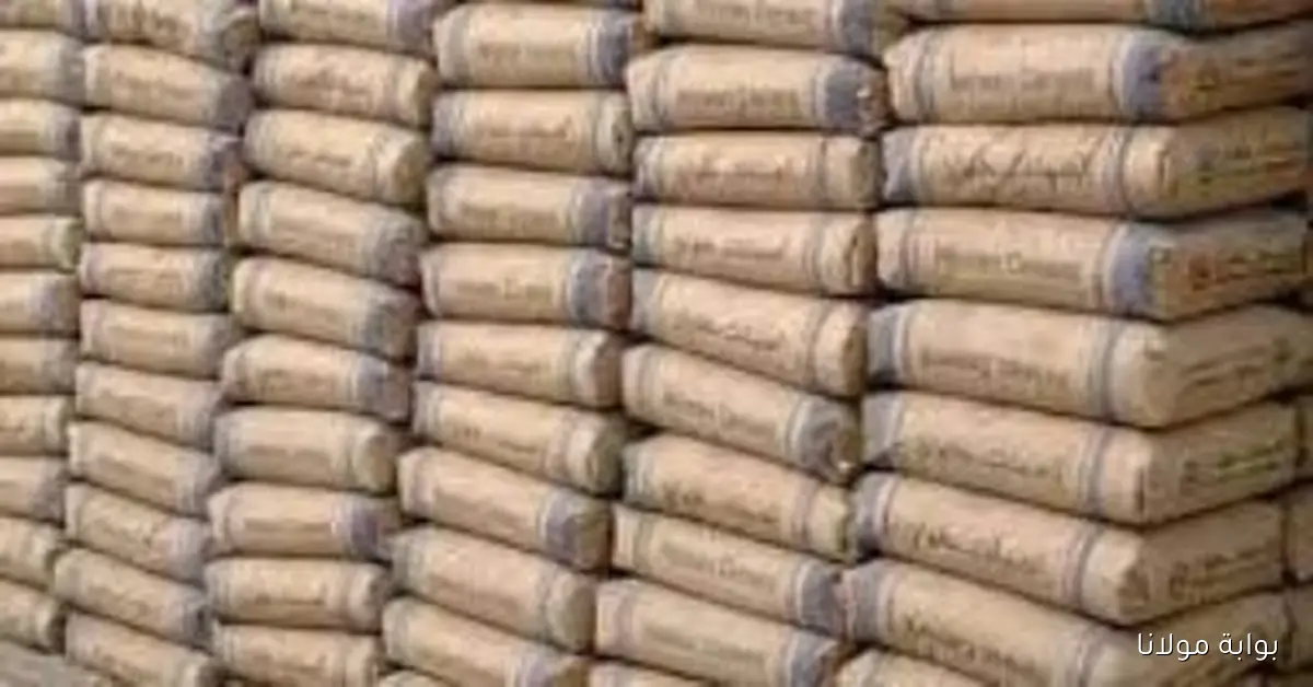أسعار الأسمنت اليوم الإثنين 22 سبتمبر 2025 تصل إلى 4000 جنيه للطن