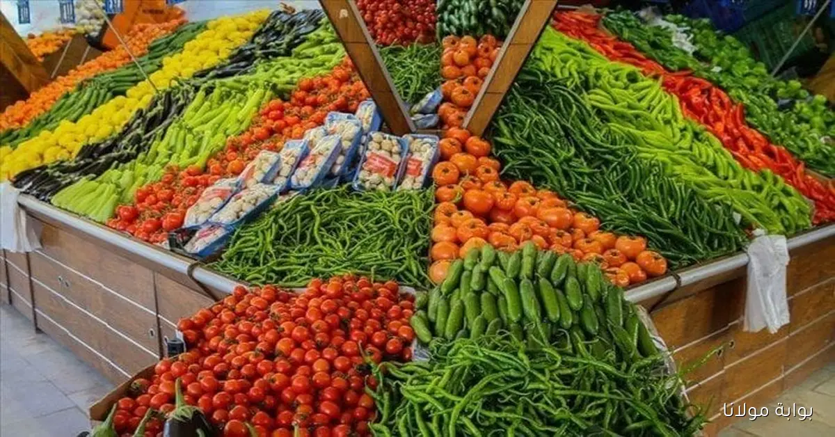 البطاطس بكام.. أسعار الخضروات في سوق العبور اليوم الثلاثاء 30 سبتمبر 2025