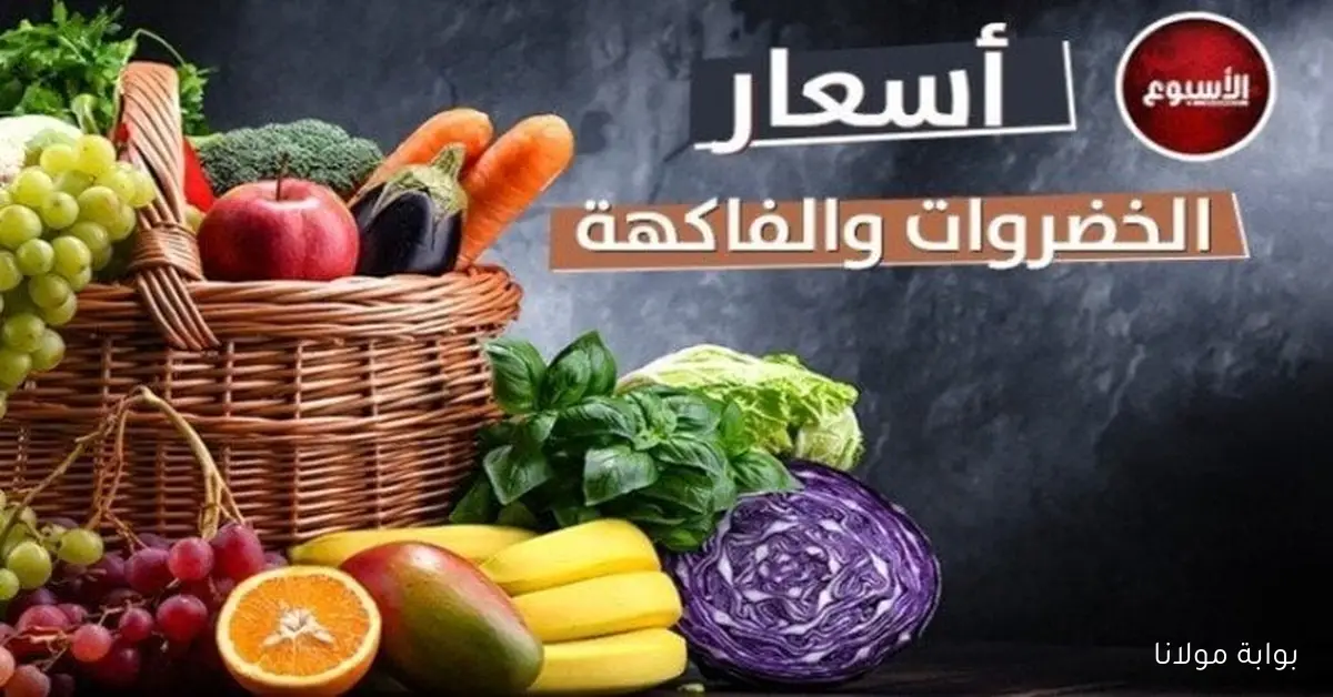 الجزر بكام .. آخر تحديث لأسعار الخضروات والفواكه الثلاثاء 30 سبتمبر 2025
