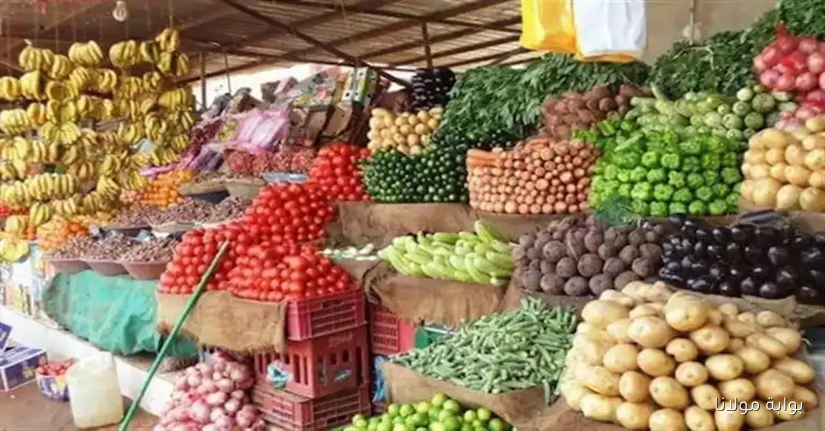 أسعار الخضروات والفاكهة في سوق العبور اليوم تصل إلى 12 جنيها لكيلو الطماطم