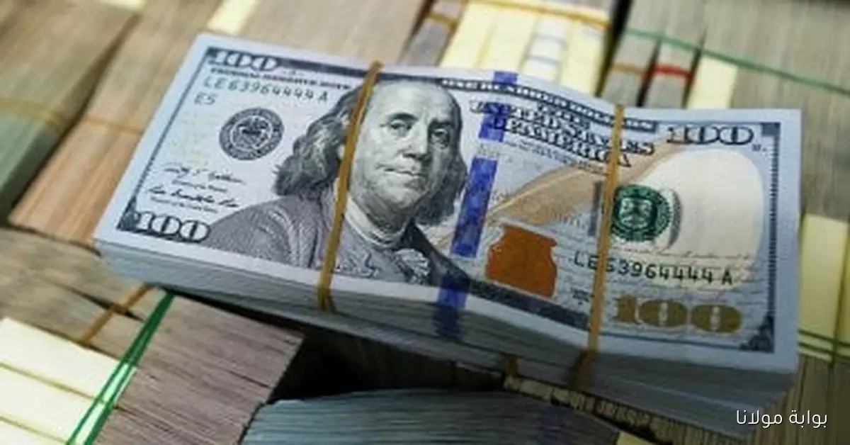 أسعار الدولار في البنوك المصرية اليوم الاثنين 15 سبتمبر 2025