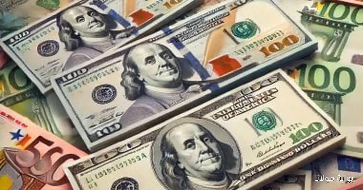 أسعار الدولار في البنوك المصرية اليوم الثلاثاء 16 سبتمبر 2025