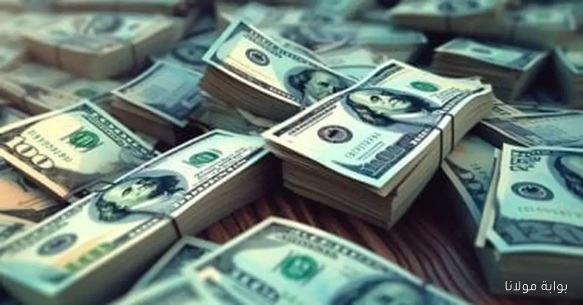 أسعار الدولار في البنوك المصرية اليوم الثلاثاء 23 سبتمبر 2025 تحديثات حية
